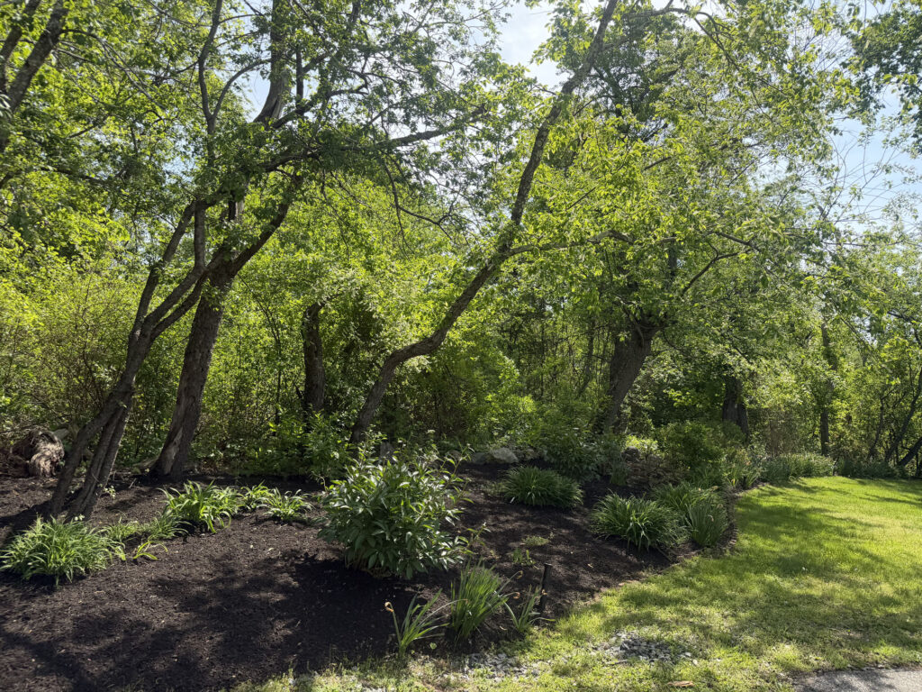 Garden Design & Installation in Concord, MA