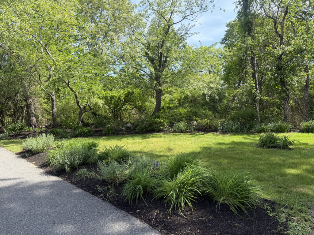 Garden Design & Installation in Concord, MA