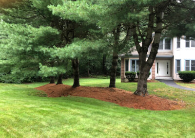 Garden Clean-Up and Maintenance in Nashua, NH.