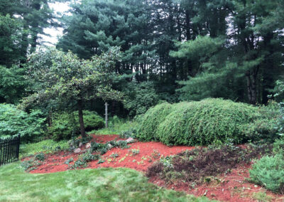 Garden Clean-Up and Maintenance in Nashua, NH.