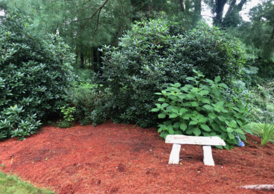 Garden Clean-Up and Maintenance in Nashua, NH.