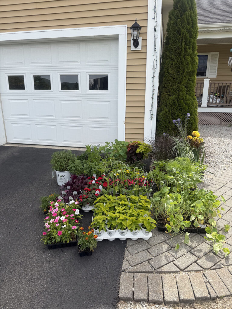 Garden Maintenance in North Conway, NH