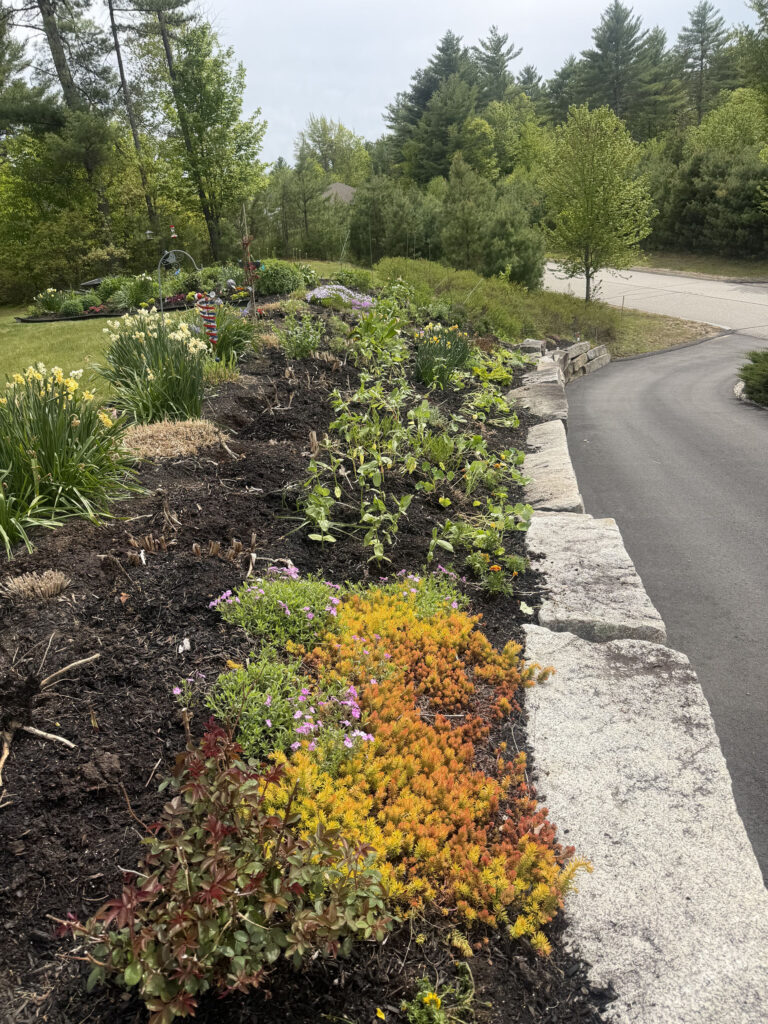 Garden Maintenance in North Conway, NH