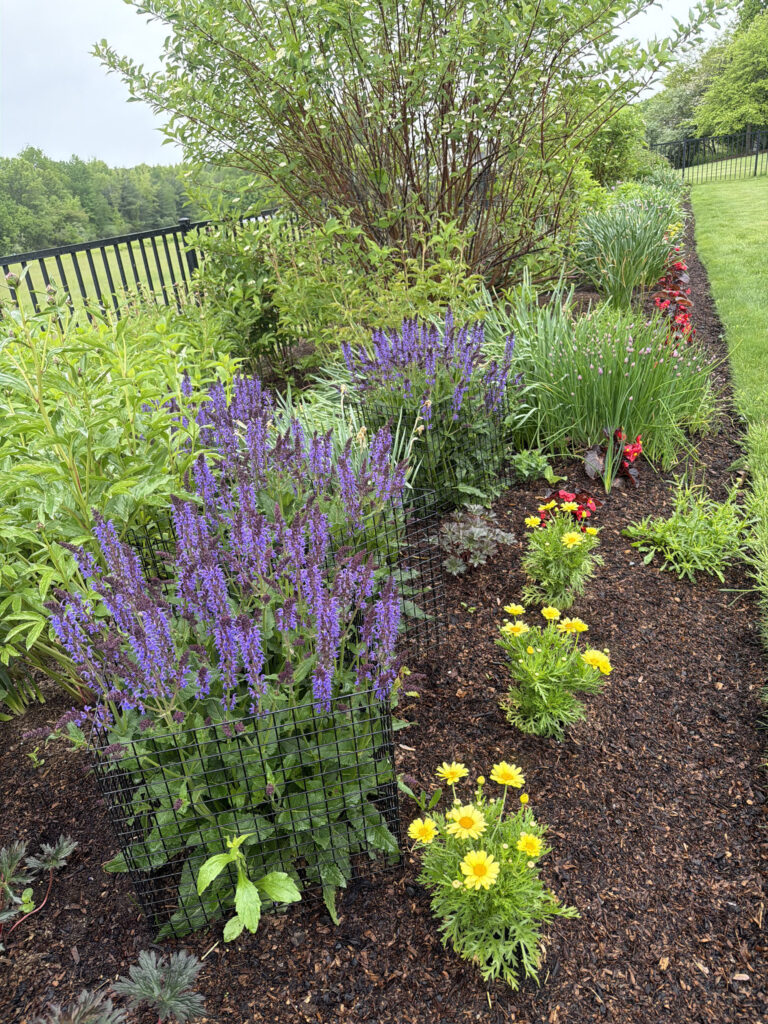 Garden Maintenance & Installation in Westford, MA