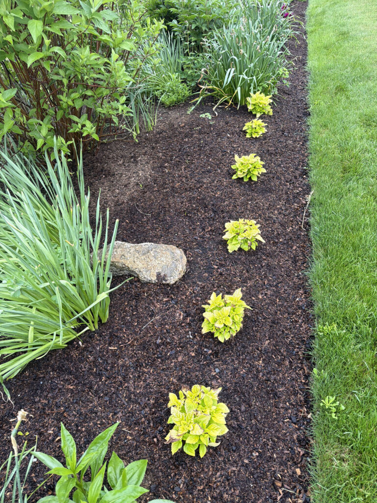Garden Maintenance & Installation in Westford, MA