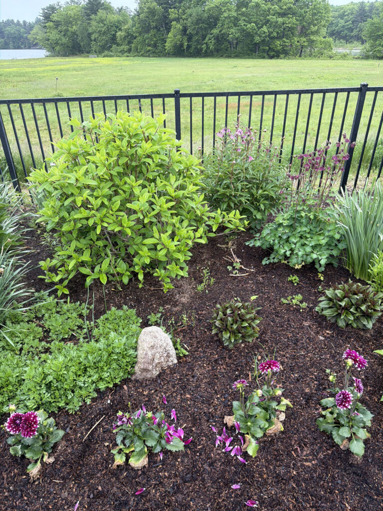 Garden Maintenance & Installation in Westford, MA