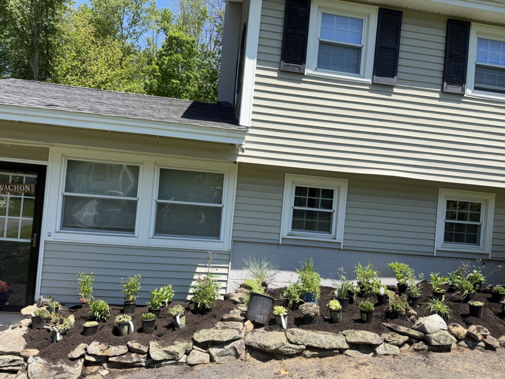 A Full Sun Garden Transformation in Pelham, NH