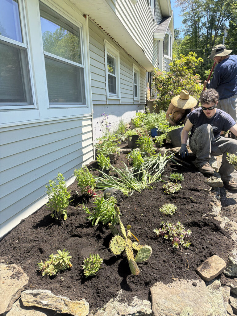 A Full Sun Garden Transformation in Pelham, NH