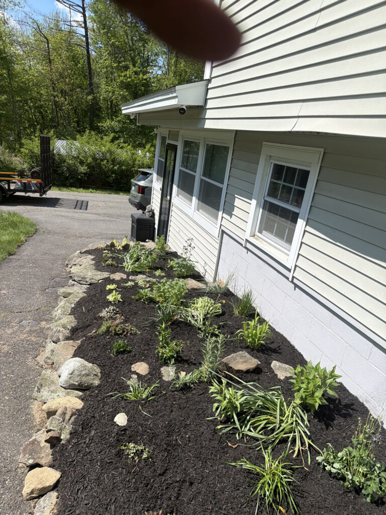 A Full Sun Garden Transformation in Pelham, NH