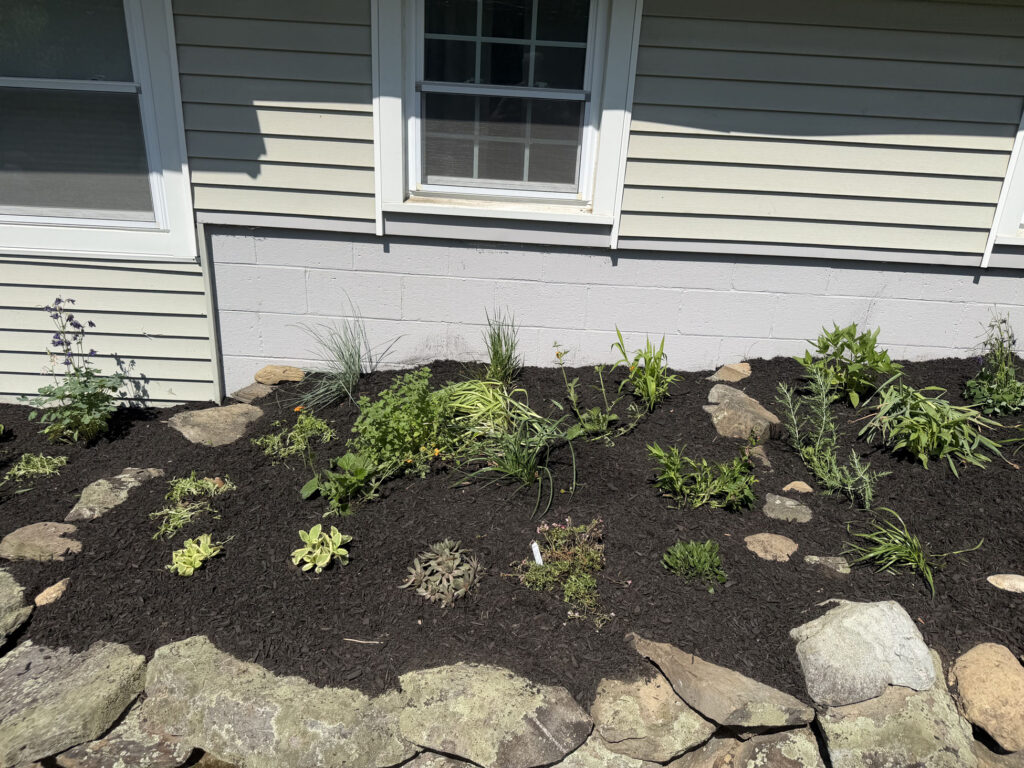 This Pelham, NH garden brought a unique challenge: hot afternoon sun from noon until five every day. Instead of fighting the conditions, we designed around them.