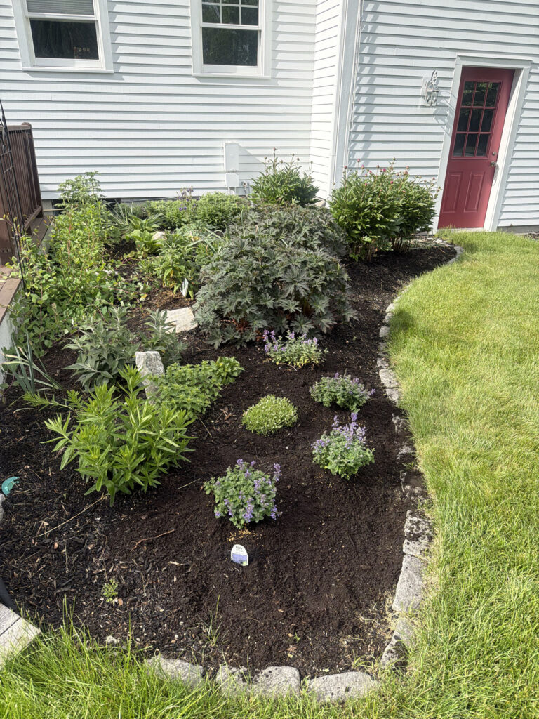 Garden Maintenance in Amherst, NH