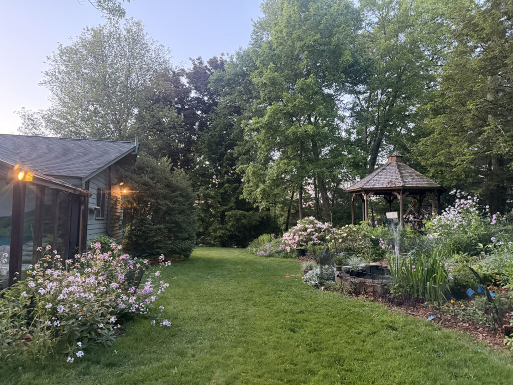 Mid-May Garden Update in Tyngsboro, MA