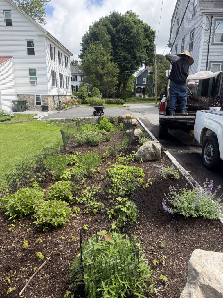 Garden Maintenance & Rose Garden Installation in Andover, MA