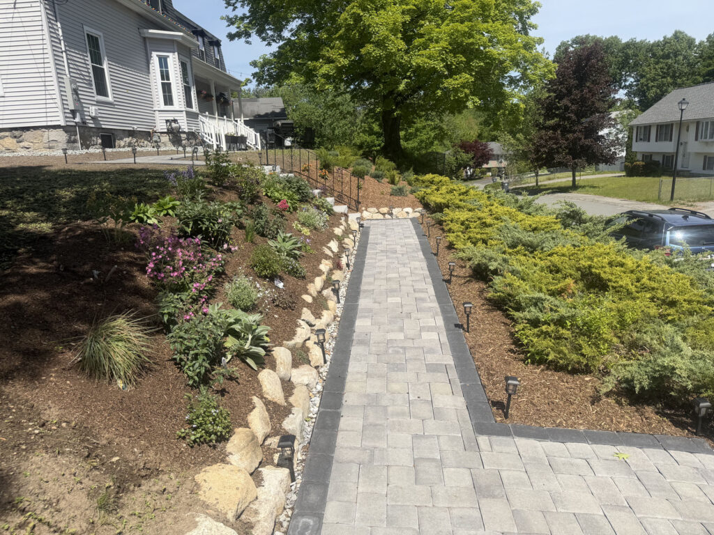 About 15 yards of rich garden soil were brought in to prepare the new beds. On the slope, we planted approximately 50 spreading junipers and 50 perennials, giving the hillside a mix of evergreen structure, texture and seasonal color.