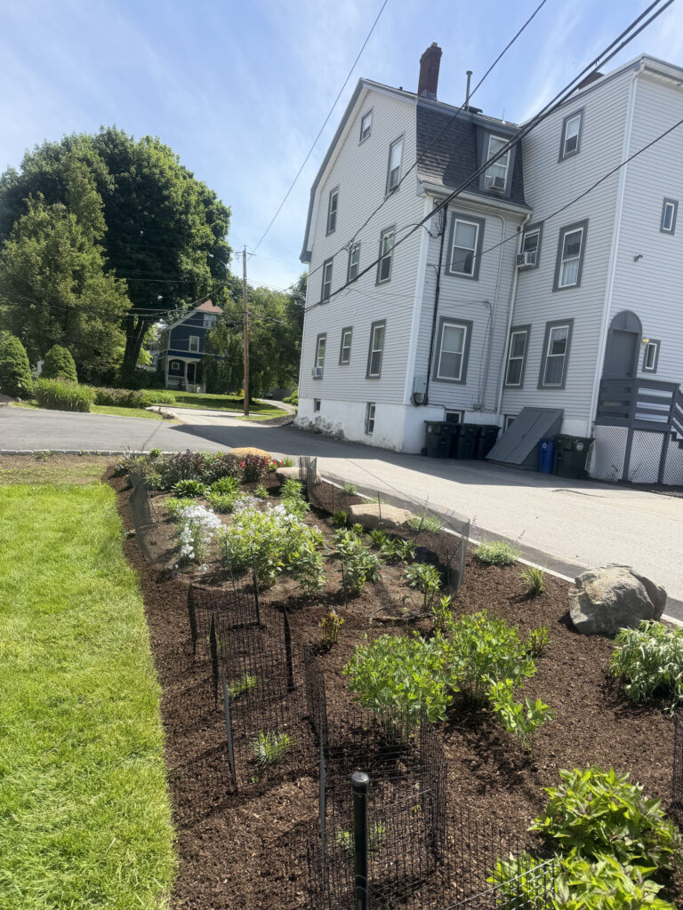 Garden Maintenance & Installation in Andover, MA