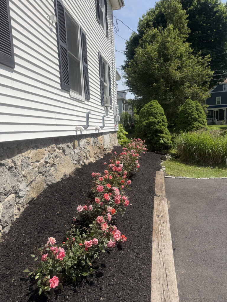 Garden Maintenance & Installation in Andover, MA
