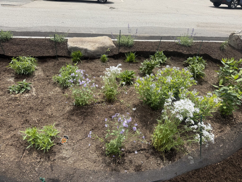 Garden Maintenance & Installation in Andover, MA