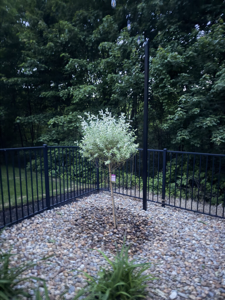 Garden Maintenance and Tree Installation in Windham, NH