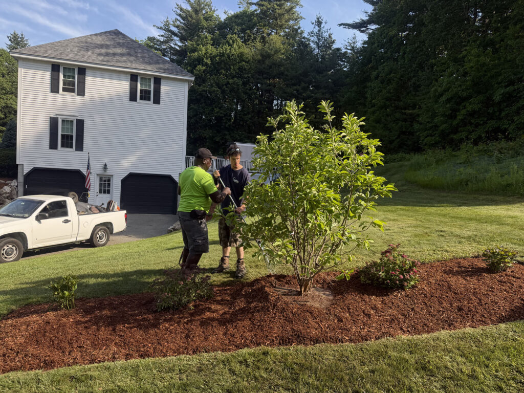 Installation in Westford, MA