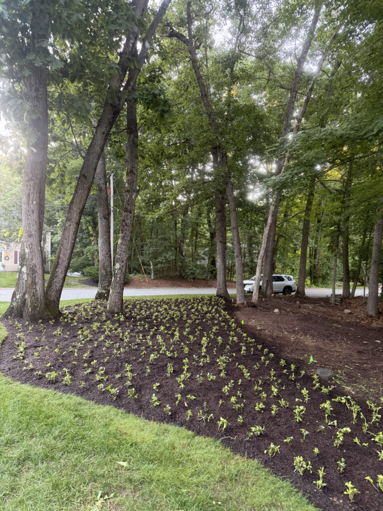 Garden Design & Installation in Tyngsboro, MA