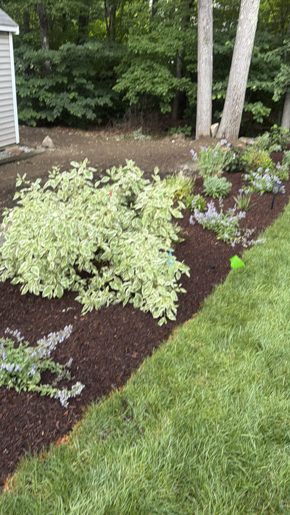 Garden Design & Installation in Tyngsboro, MA