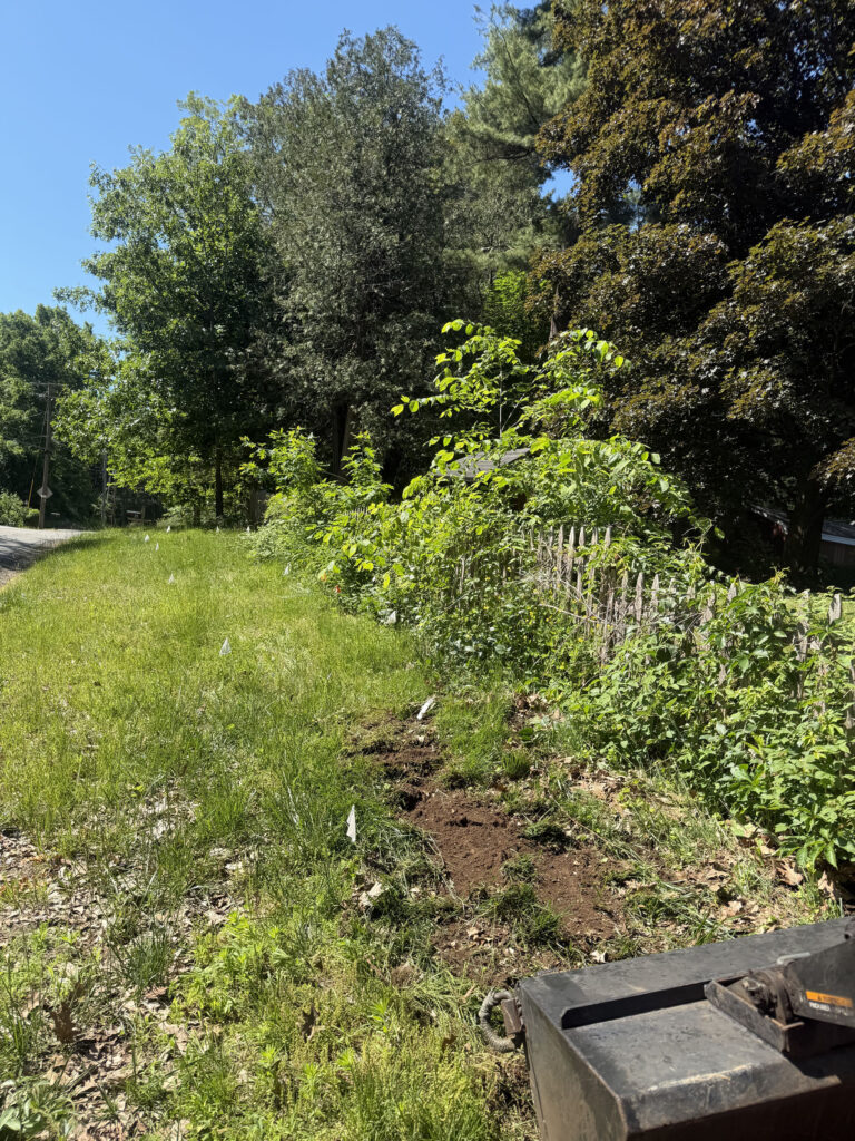Wildflower Garden Design & Installation in Chelmsford, MA