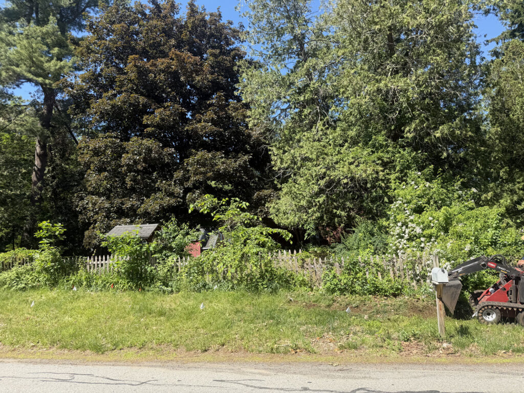 Wildflower Garden Design & Installation in Chelmsford, MA