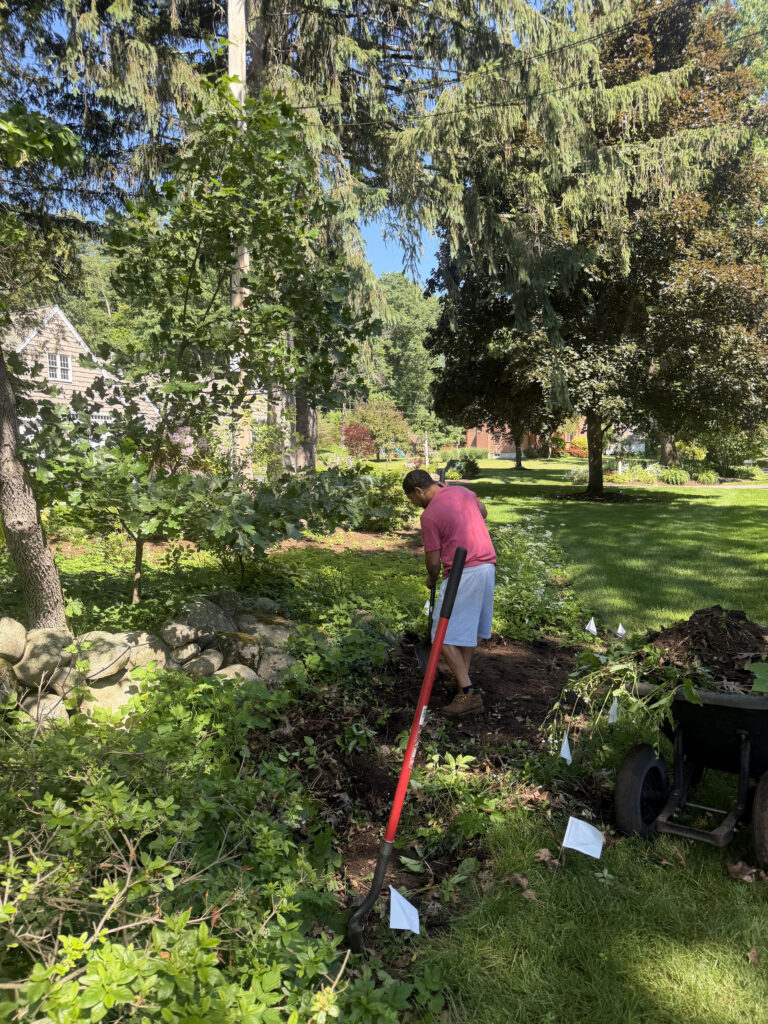 Wildflower Garden Design & Installation in Chelmsford, MA