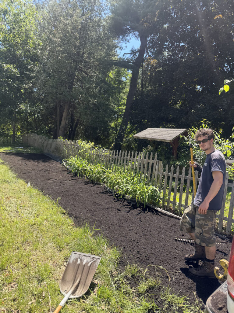 Wildflower Garden Design & Installation in Chelmsford, MA