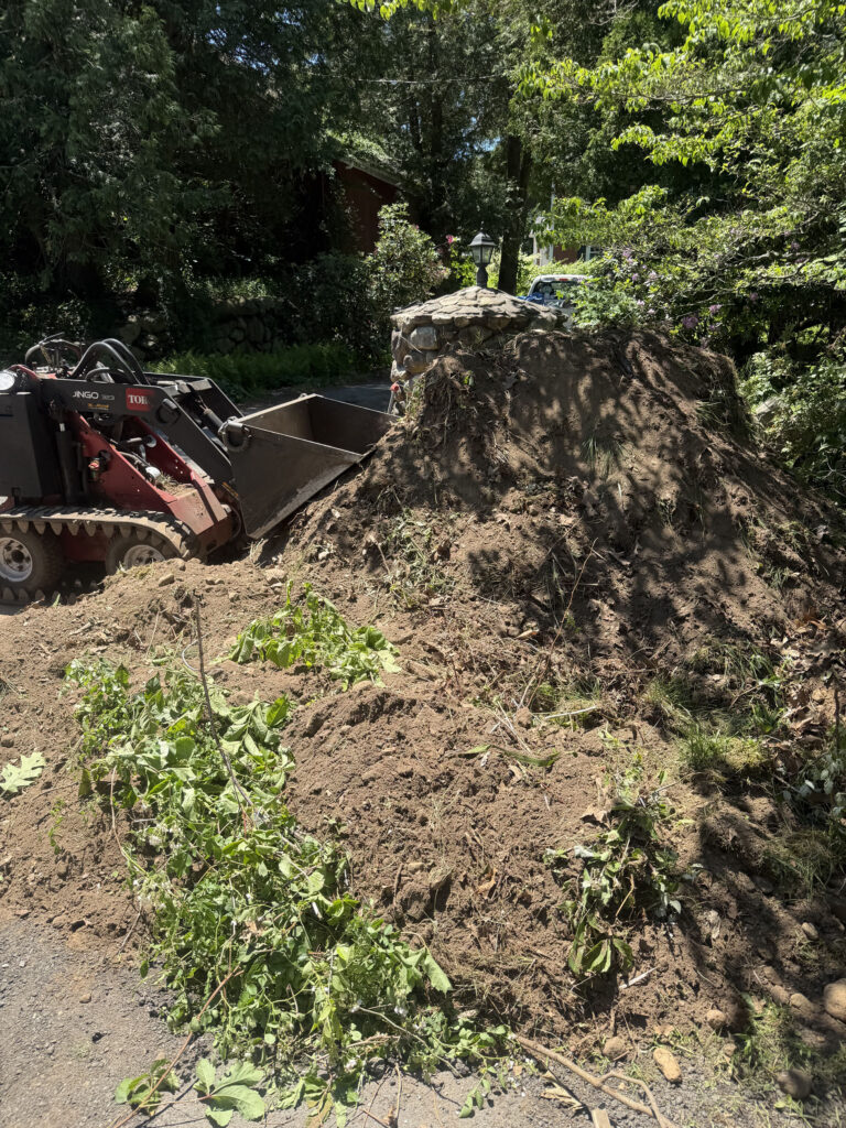Wildflower Garden Design & Installation in Chelmsford, MA