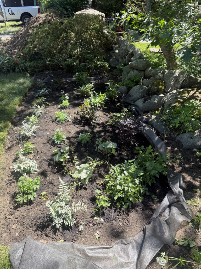 Wildflower Garden Design & Installation in Chelmsford, MA