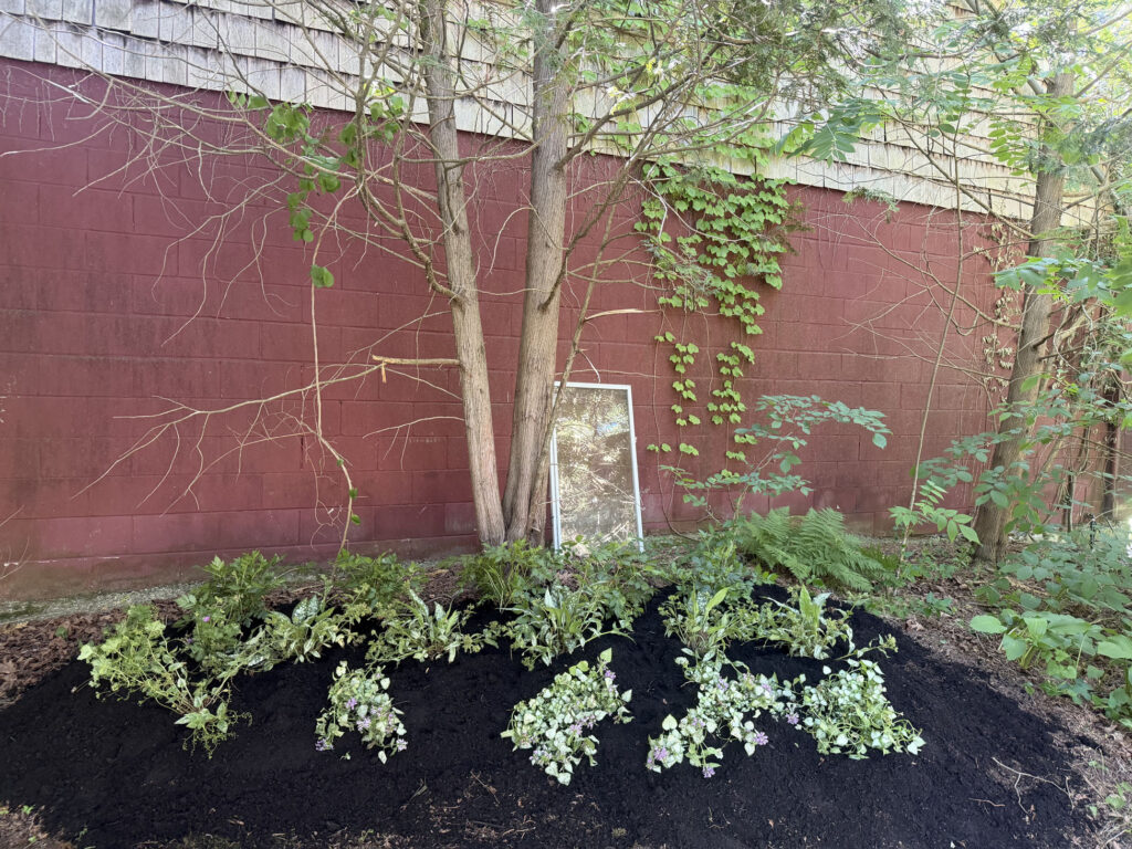 Wildflower Garden Design & Installation in Chelmsford, MA