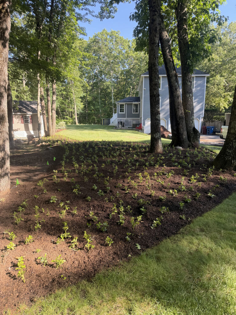 Garden Design & Installation in Tyngsboro, MA