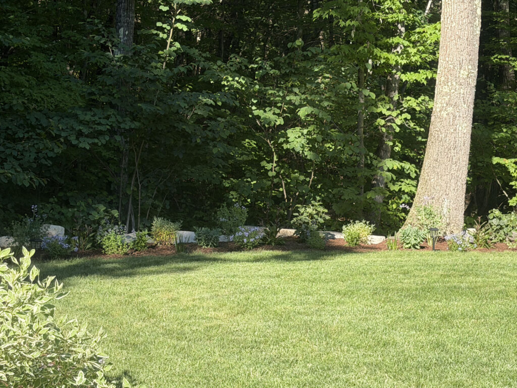 Garden Design & Installation in Tyngsboro, MA