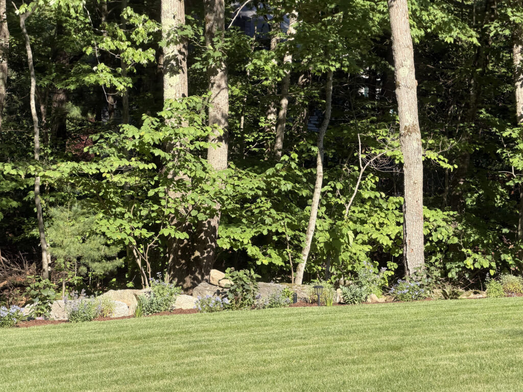 Garden Design & Installation in Tyngsboro, MA