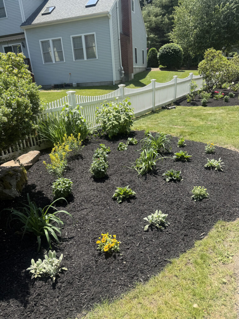 Garden Design & Installation in Acton, MA