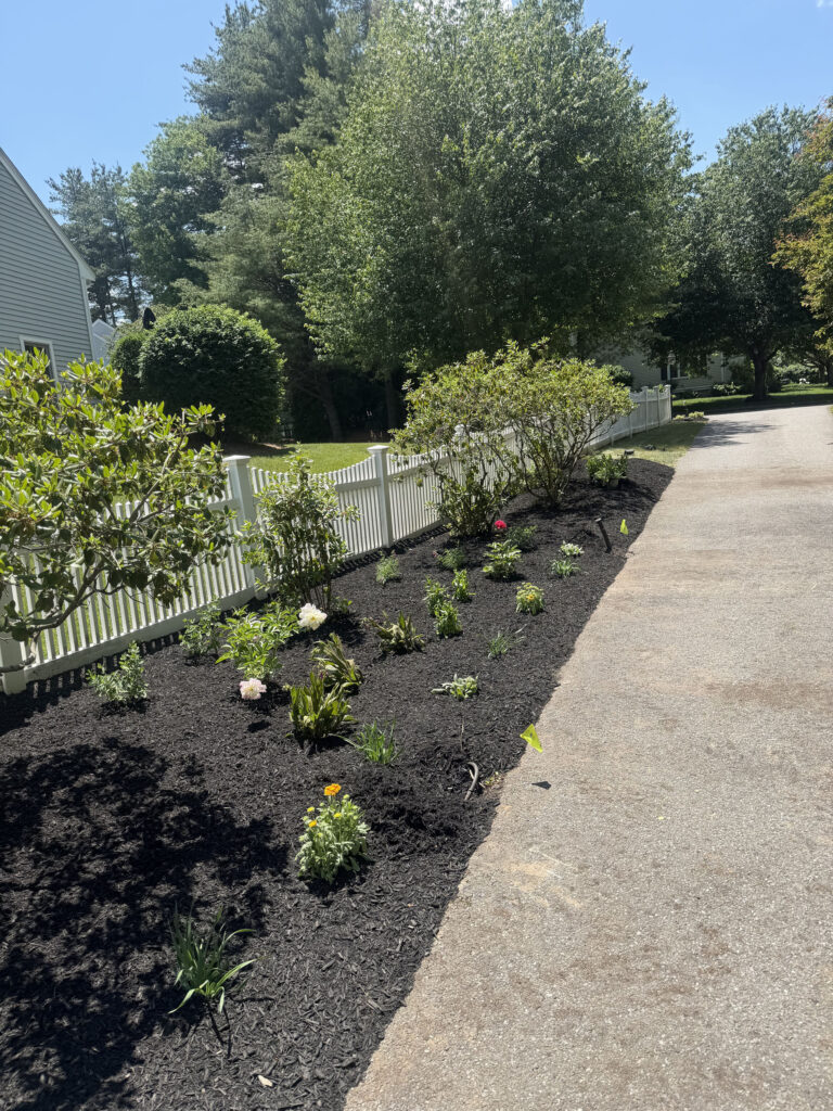 Garden Design & Installation in Acton, MA