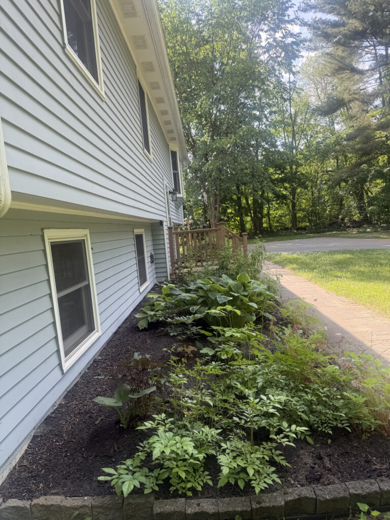 So this May, we went back to work, adding hardier perennial varieties selected to handle the location while also attracting bees, butterflies and other pollinators.