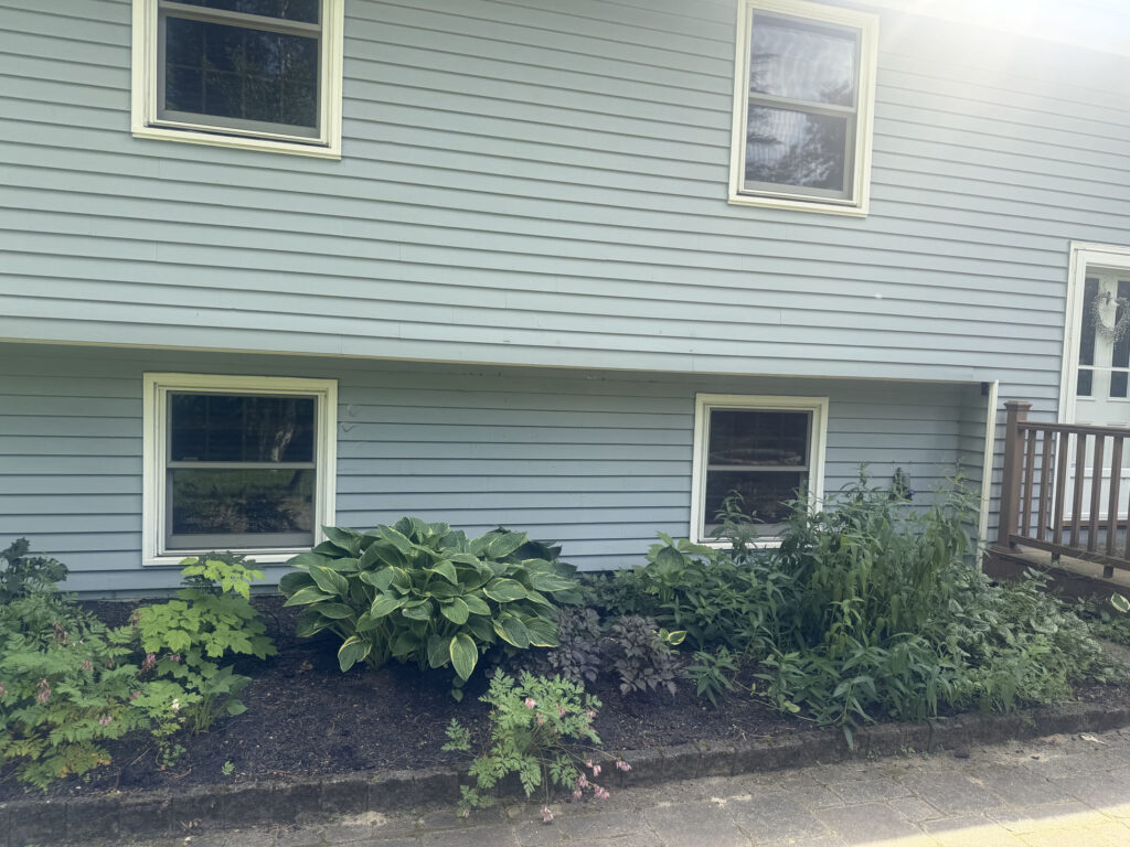 Today it’s lush, full and established, with hostas and other shade-loving perennials filling the beds. The sunny south side has been more challenging.