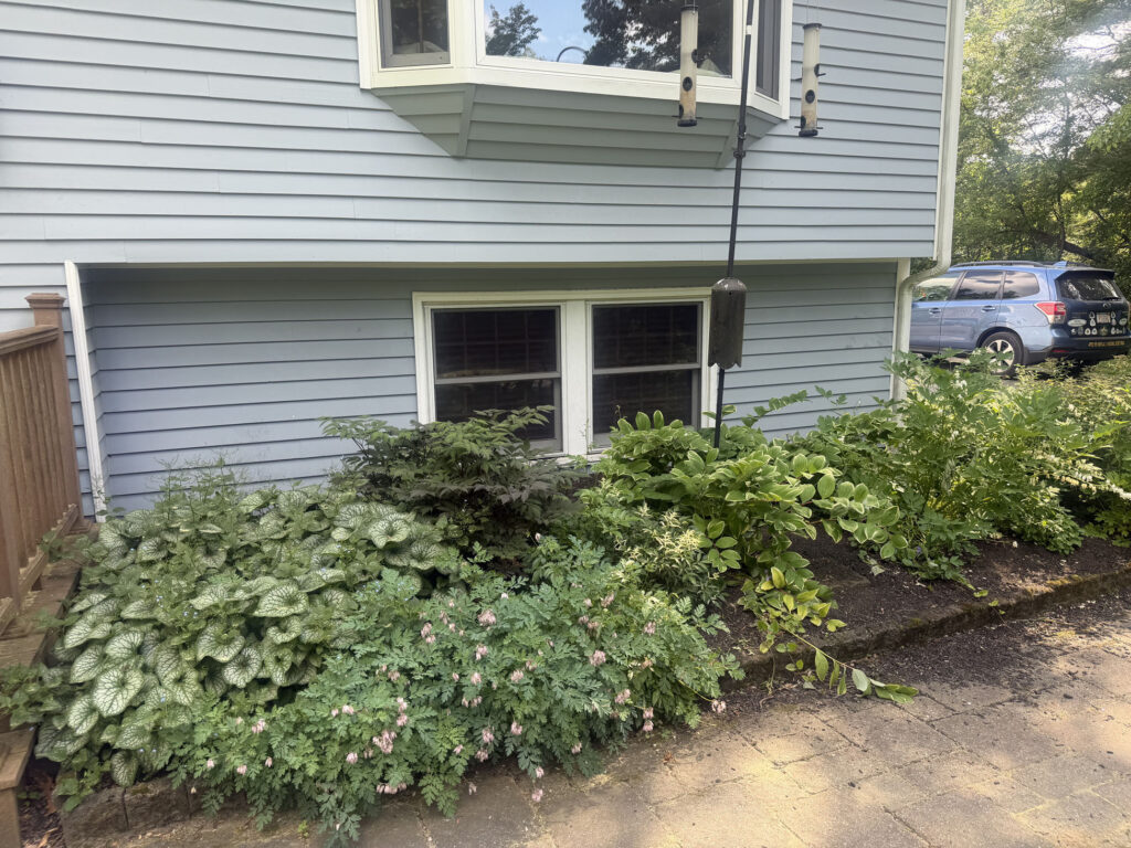 Some gardens teach you what works best as they mature—and this Pepperell garden has certainly done that. We originally planted these gardens three years ago in November.