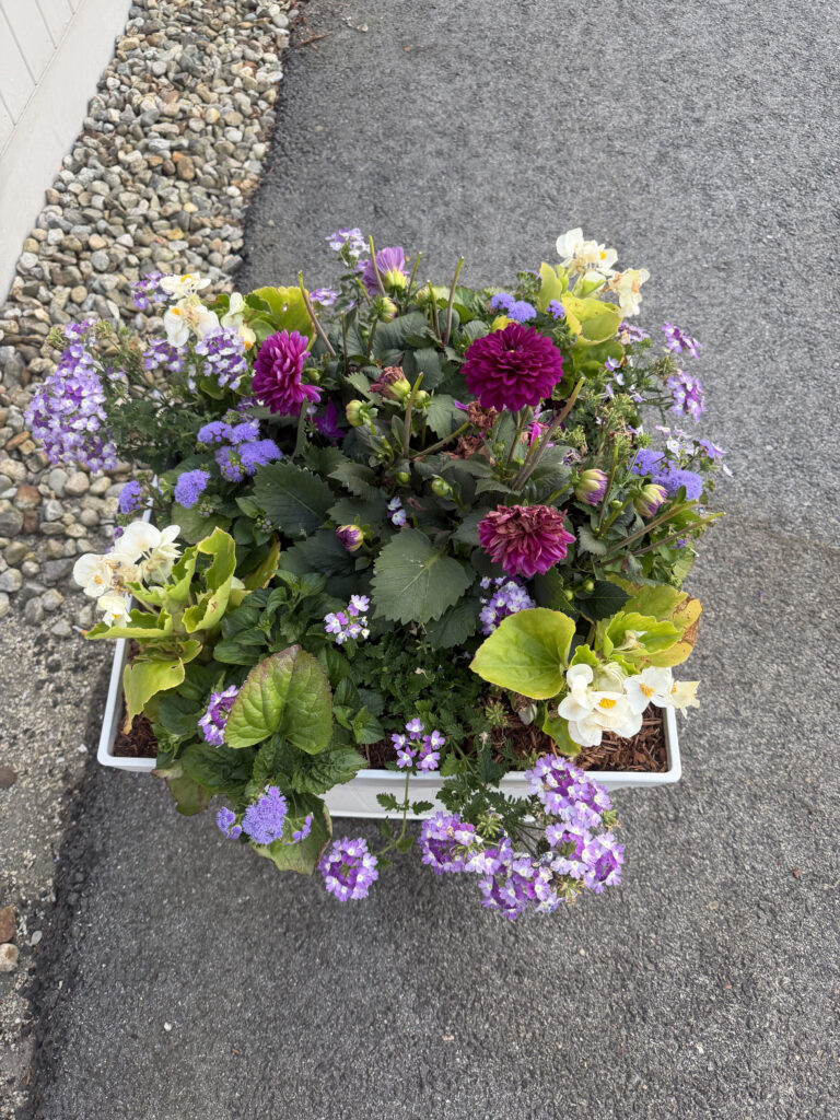 Annual Flower Planting at the Tyngsboro Dream Diner