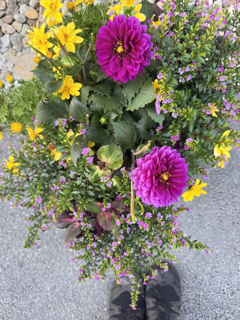 Annual Flower Planting at the Tyngsboro Dream Diner