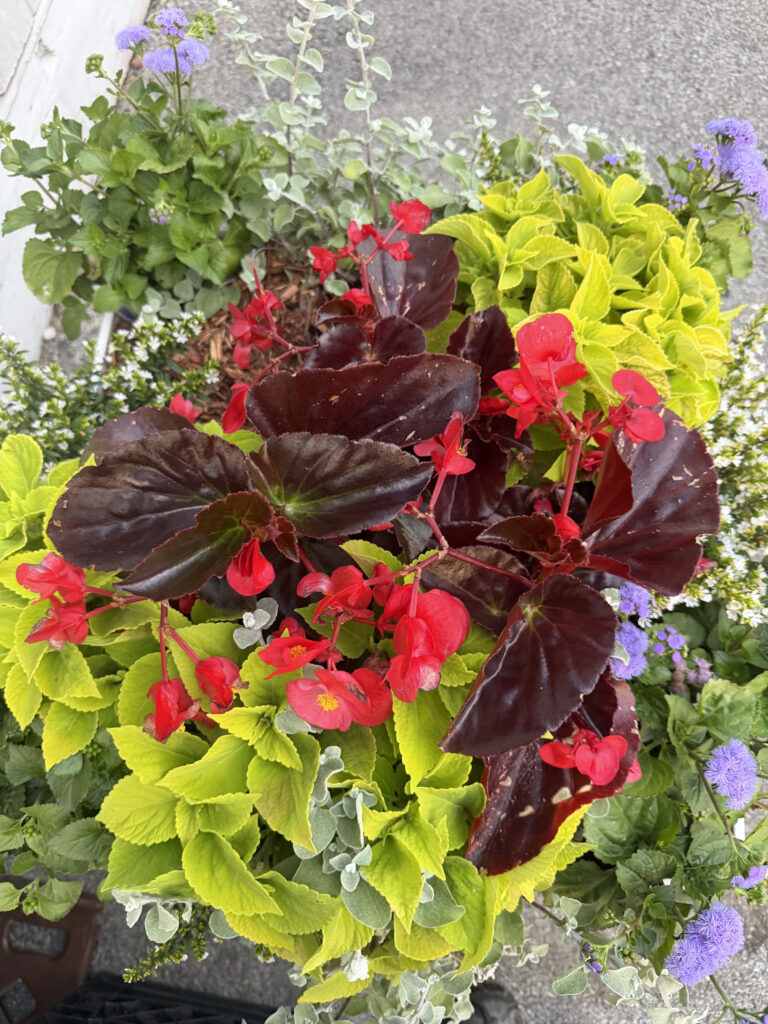 Annual Flower Planting at the Tyngsboro Dream Diner