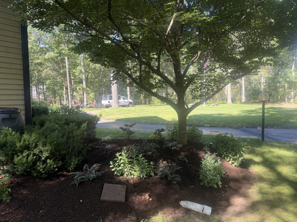 We revitalized seven existing garden beds, each with mostly shade or part-sun conditions. After walking the property with the homeowner, we decided to expand the original vision by incorporating even more shade-loving perennials to create a lush, layered display that will become even more beautiful each season.