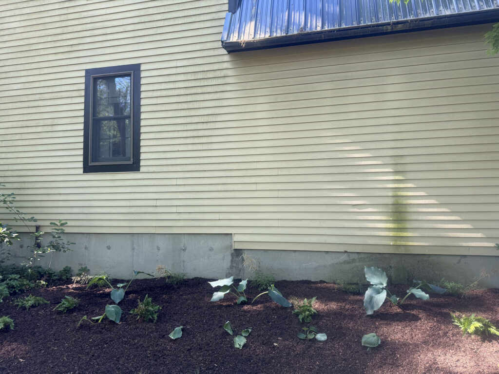 We revitalized seven existing garden beds, each with mostly shade or part-sun conditions. After walking the property with the homeowner, we decided to expand the original vision by incorporating even more shade-loving perennials to create a lush, layered display that will become even more beautiful each season.