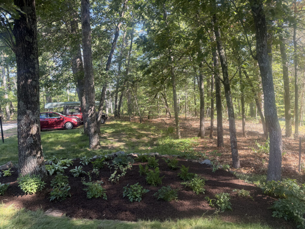 We revitalized seven existing garden beds, each with mostly shade or part-sun conditions. After walking the property with the homeowner, we decided to expand the original vision by incorporating even more shade-loving perennials to create a lush, layered display that will become even more beautiful each season.