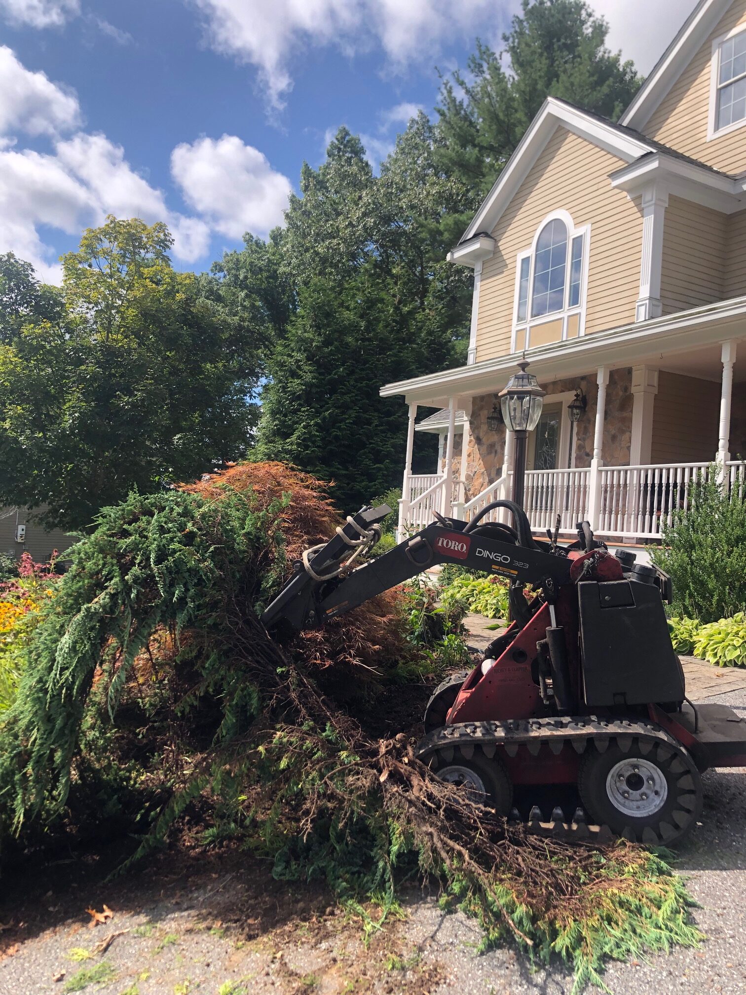 Shrub removal