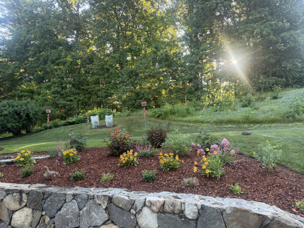 After Garden Design & Installation in Tyngsboro, MA