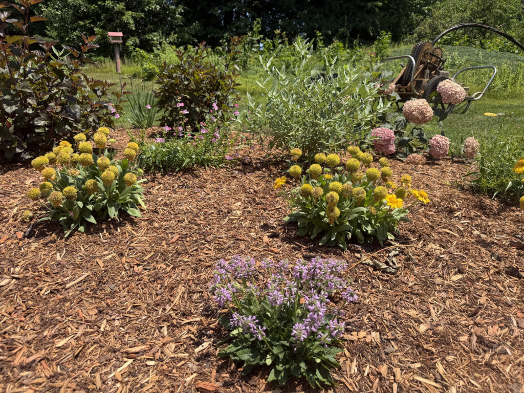After Garden Design & Installation in Tyngsboro, MA