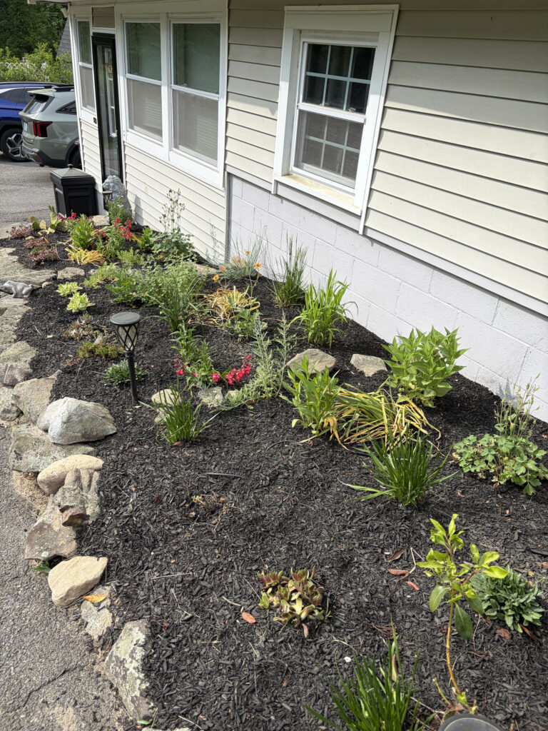 This Pelham, NH garden brought a unique challenge: hot afternoon sun from noon until five every day. Instead of fighting the conditions, we designed around them.